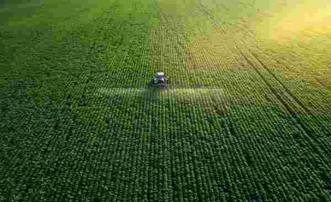 Tarım İlaçları Tortuları En Büyük Tehlike: Kirletilmiş Toprakta Yetişen Besinler Yılda 420 Bin Can Alıyor