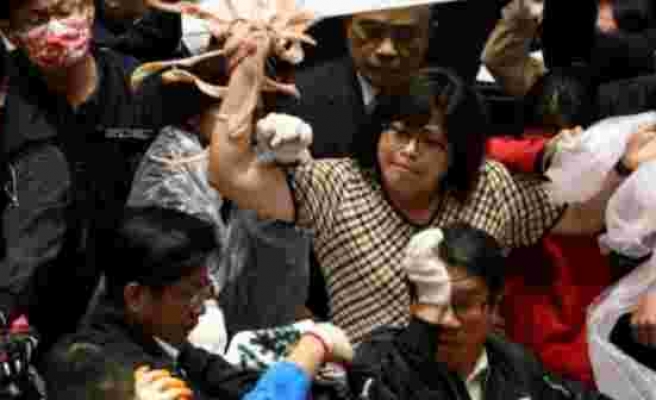 Tayvan Parlamentosu karıştı! Milletvekilleri birbirine bağırsak fırlattı