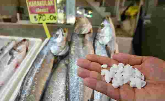 Tezgahta Büyük İlgi Var: Balığın Kilosu 70, Kafasındaki Taş 600 Lira