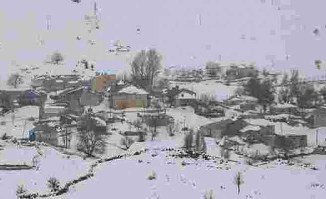 Tunceli’de kar yağışı etkili oldu, 32 köy yolu kapandı