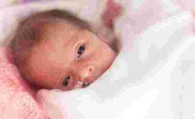 Tüp bebek öncesi nasıl beslenilmeli?