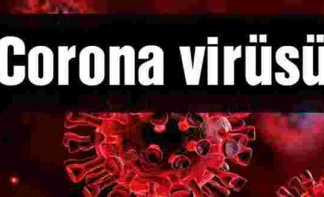 Türk Tabipleri Birliği Corona virüsünden korunmak için gerekli tedbirleri açıkladı
