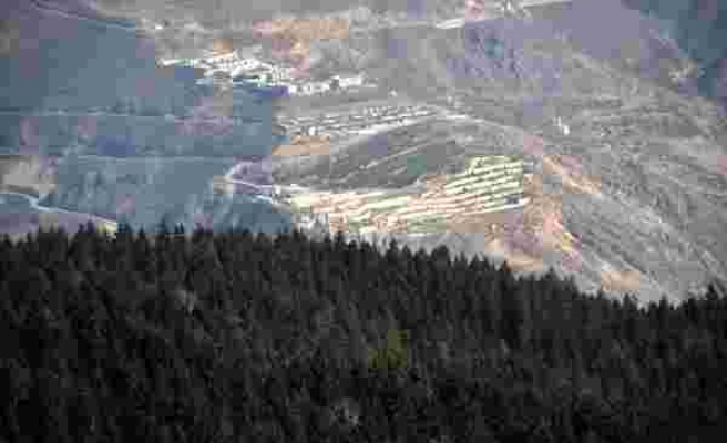 Türkiye'nin Ormanları Kuşatma Altında: 15 Şehrin Yüzde 62'si Maden İçin Ruhsatlandırılmış