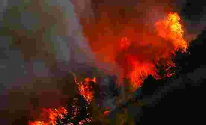 Türkiye Ormancılar Derneği: 'Nedeni Belirsiz Orman Yangınları Oranı Yüzde 47'ye Yükseldi'