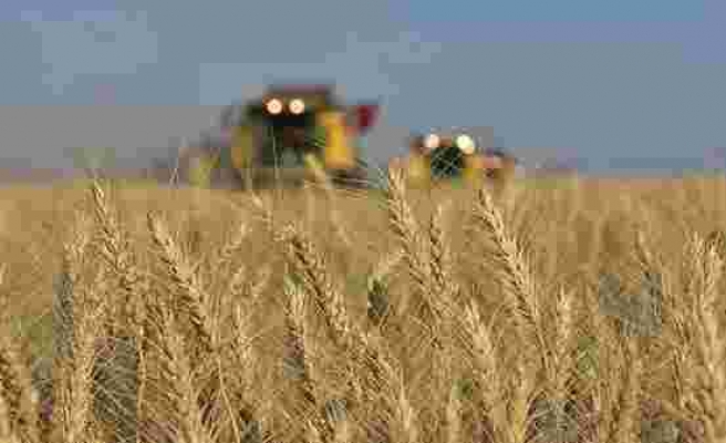 Türkiye, Venezuela'da Buğday Üretecek
