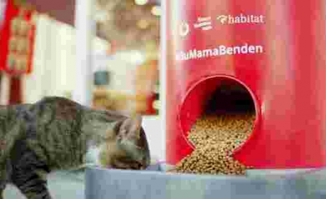 Türkiye Vodafone Vakfı’ndan 'Salgında sokak hayvanlarını unutma' çağrısı