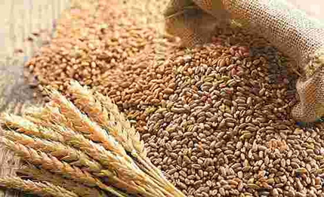 Ukrayna’nın Herson şehrinden Rusya’ya tahıl ihracatı başlatıldı