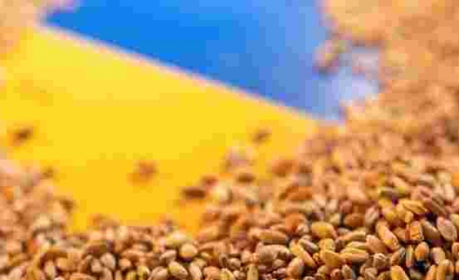 Ukrayna'nın tahıl üretiminde düşüş bekleniyor