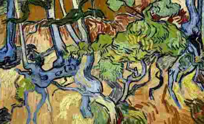 Van Gogh'un 'Tree Roots' Eserinin Gizemini Eski Bir Kartpostal Çözdü
