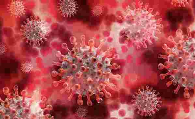 ‘Virüsün ‘D614G’ Adı Verilen Mutasyonu Orijinalinden Daha Bulaşıcı Olabilir’