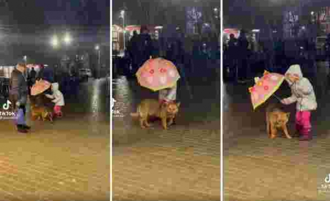 Yağmurda Islanan Köpeği Şemsiyesi ile Korumaya Çalışan Ufaklığın İçinizi Isıtacak Görüntüleri