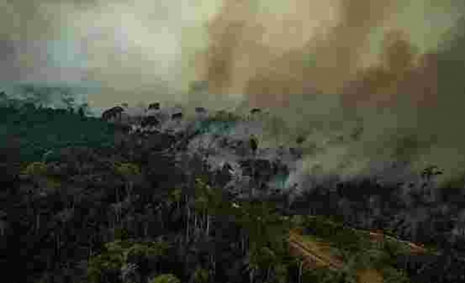 Yerlilerin Yaşadığı Alanlar Tehlike Altında: Amazon Ormanları Facebook Üzerinden Satışa Çıktı