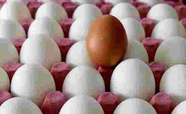 Yumurta Yemek Bile Lüks Oluyor: Fiyatlar Bir Yılda İkiye Katlandı