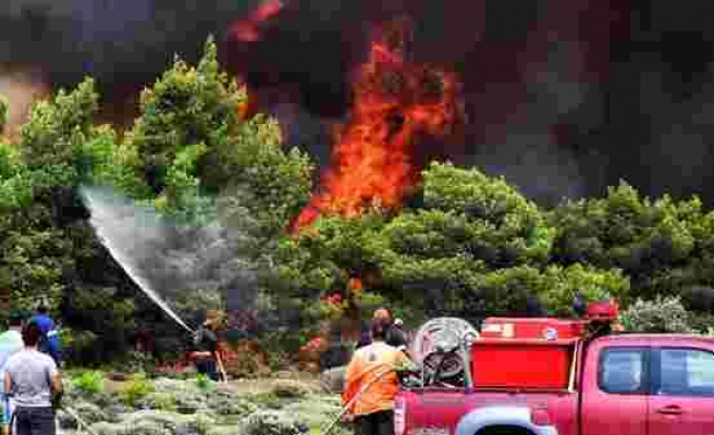 Yunanistan'da İki Bakan Görevden Alındı: Gerekçe Orman Yangınlarına Geç Müdahale