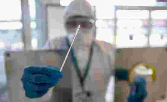 Yüz Yüze Eğitim Kapsamında PCR Testleri Ücretsiz Yapılacak