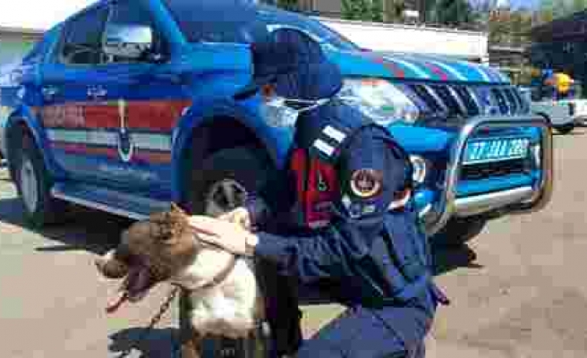 Zincirle otomobilin arkasına bağlanan köpeği jandarma kurtardı